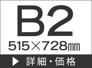B2515×728mm