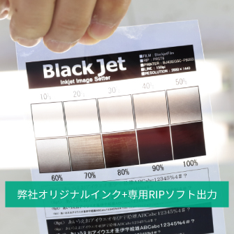 BlackJetǲե̳Ѥѥƥˤʤޤ